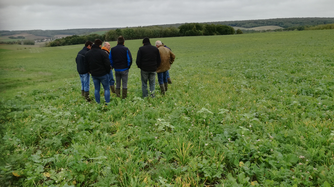 Les collectifs agroécologiques en Bourgogne-Franche-Comté