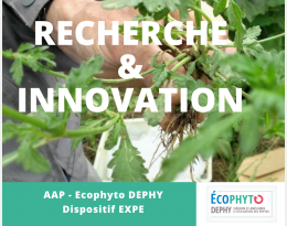 Appel à projets Ecophyto DEPHY EXPE - Ecophyto Bourgogne-Franche-Comté