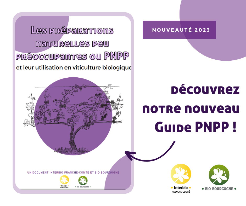 Les préparations naturelles peu préoccupantes en viticulture biologique - Ecophyto Bourgogne-Franche-Comté